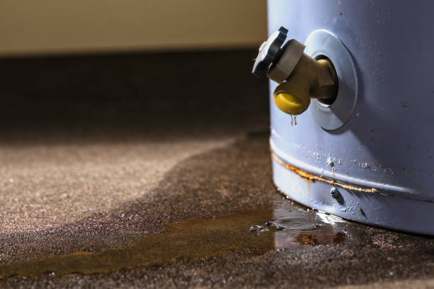 Water damage restoration experts in NY
