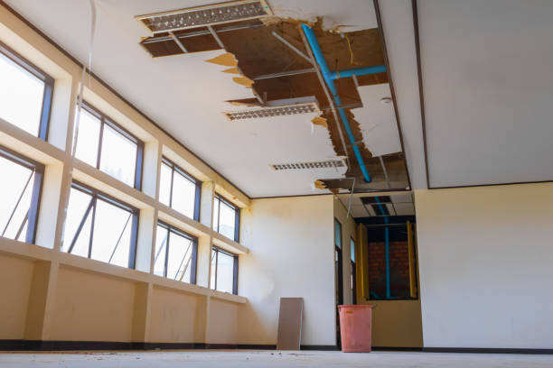 Best Mold removal after water damage  in Sayville, NY