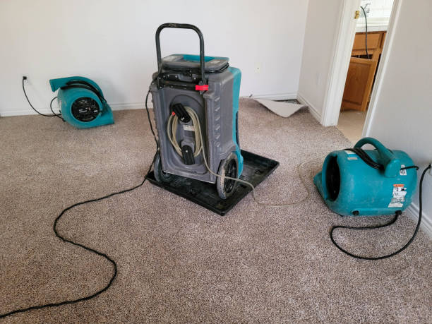 Best Professional water damage repair  in Sayville, NY