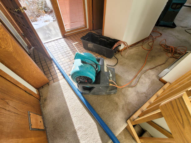 Best Basement water damage restoration  in Sayville, NY