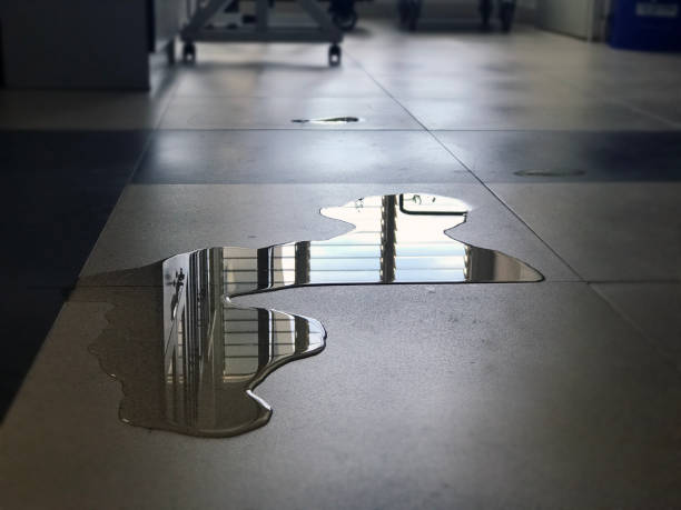 Best 24-hour water damage restoration  in Sayville, NY