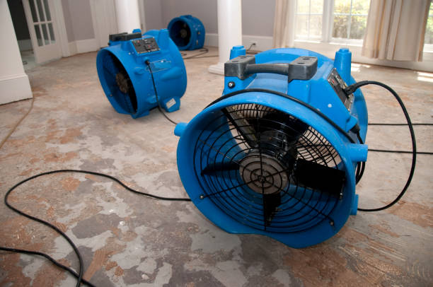 Best Residential water damage restoration  in Sayville, NY