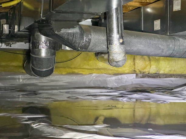 Best Local water damage restoration  in Sayville, NY