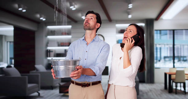 Best Professional water damage repair  in Sayville, NY